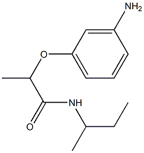 2-(3-aminophenoxy)-N-(butan-2-yl)propanamide,,结构式