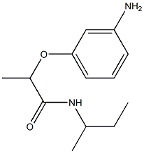 2-(3-aminophenoxy)-N-(butan-2-yl)propanamide Struktur