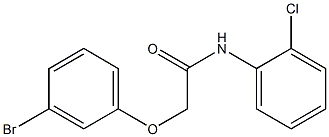 2-(3-bromophenoxy)-N-(2-chlorophenyl)acetamide|