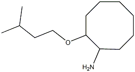 2-(3-methylbutoxy)cyclooctan-1-amine Struktur