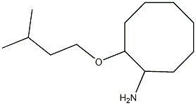  2-(3-methylbutoxy)cyclooctan-1-amine