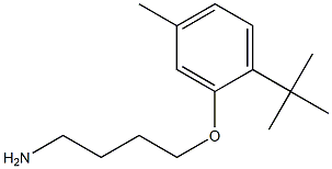 2-(4-aminobutoxy)-1-tert-butyl-4-methylbenzene Structure