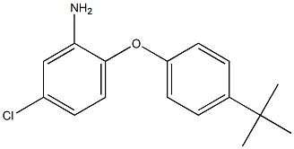 2-(4-tert-butylphenoxy)-5-chloroaniline 化学構造式