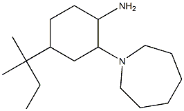 2-(azepan-1-yl)-4-(2-methylbutan-2-yl)cyclohexan-1-amine Struktur
