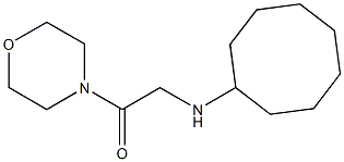 2-(cyclooctylamino)-1-(morpholin-4-yl)ethan-1-one 结构式