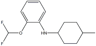 2-(difluoromethoxy)-N-(4-methylcyclohexyl)aniline|