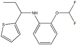 2-(difluoromethoxy)-N-[1-(thiophen-2-yl)propyl]aniline 结构式