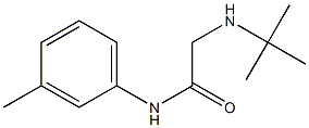 2-(tert-butylamino)-N-(3-methylphenyl)acetamide,,结构式