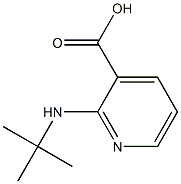 2-(tert-butylamino)pyridine-3-carboxylic acid Structure