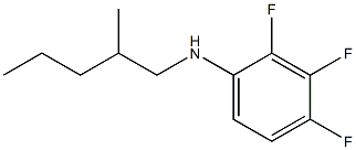 2,3,4-trifluoro-N-(2-methylpentyl)aniline,,结构式