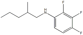  2,3,4-trifluoro-N-(2-methylpentyl)aniline