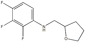 2,3,4-trifluoro-N-(oxolan-2-ylmethyl)aniline