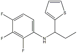 2,3,4-trifluoro-N-[1-(thiophen-2-yl)propyl]aniline,,结构式