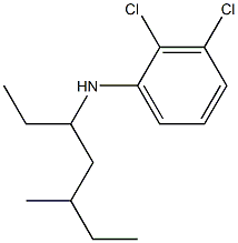 2,3-dichloro-N-(5-methylheptan-3-yl)aniline 化学構造式