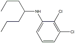 2,3-dichloro-N-(heptan-4-yl)aniline Structure