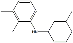 2,3-dimethyl-N-(3-methylcyclohexyl)aniline Structure