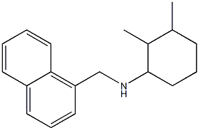 2,3-dimethyl-N-(naphthalen-1-ylmethyl)cyclohexan-1-amine Structure