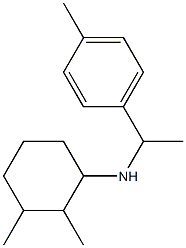 2,3-dimethyl-N-[1-(4-methylphenyl)ethyl]cyclohexan-1-amine|