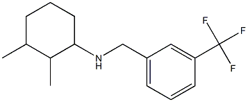 2,3-dimethyl-N-{[3-(trifluoromethyl)phenyl]methyl}cyclohexan-1-amine Struktur