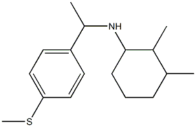 2,3-dimethyl-N-{1-[4-(methylsulfanyl)phenyl]ethyl}cyclohexan-1-amine 结构式