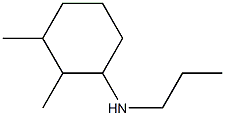 2,3-dimethyl-N-propylcyclohexan-1-amine