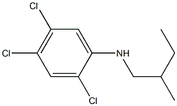 2,4,5-trichloro-N-(2-methylbutyl)aniline