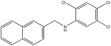 2,4,5-trichloro-N-(naphthalen-2-ylmethyl)aniline,,结构式