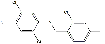 2,4,5-trichloro-N-[(2,4-dichlorophenyl)methyl]aniline