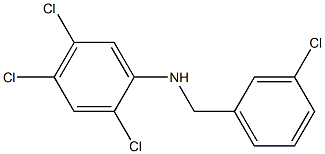 2,4,5-trichloro-N-[(3-chlorophenyl)methyl]aniline 结构式