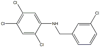 2,4,5-trichloro-N-[(3-chlorophenyl)methyl]aniline 化学構造式