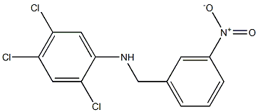 2,4,5-trichloro-N-[(3-nitrophenyl)methyl]aniline