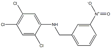  2,4,5-trichloro-N-[(3-nitrophenyl)methyl]aniline