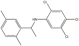 2,4,5-trichloro-N-[1-(2,5-dimethylphenyl)ethyl]aniline