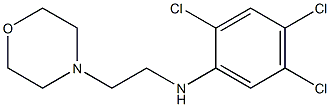 2,4,5-trichloro-N-[2-(morpholin-4-yl)ethyl]aniline 结构式
