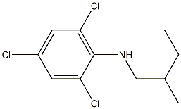 2,4,6-trichloro-N-(2-methylbutyl)aniline