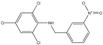2,4,6-trichloro-N-[(3-nitrophenyl)methyl]aniline 结构式