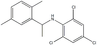 2,4,6-trichloro-N-[1-(2,5-dimethylphenyl)ethyl]aniline,,结构式