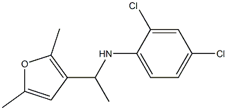 2,4-dichloro-N-[1-(2,5-dimethylfuran-3-yl)ethyl]aniline 化学構造式