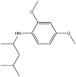 2,4-dimethoxy-N-(4-methylpentan-2-yl)aniline Struktur