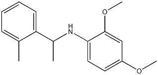 2,4-dimethoxy-N-[1-(2-methylphenyl)ethyl]aniline