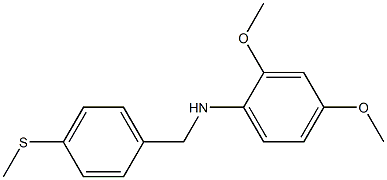 2,4-dimethoxy-N-{[4-(methylsulfanyl)phenyl]methyl}aniline 结构式