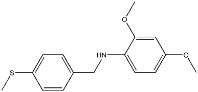  2,4-dimethoxy-N-{[4-(methylsulfanyl)phenyl]methyl}aniline