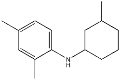 2,4-dimethyl-N-(3-methylcyclohexyl)aniline