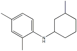  2,4-dimethyl-N-(3-methylcyclohexyl)aniline