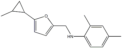 2,4-dimethyl-N-{[5-(2-methylcyclopropyl)furan-2-yl]methyl}aniline|