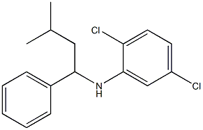 2,5-dichloro-N-(3-methyl-1-phenylbutyl)aniline