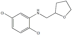 2,5-dichloro-N-(oxolan-2-ylmethyl)aniline 化学構造式