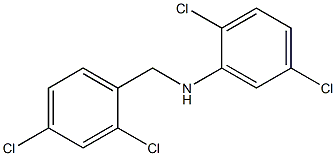 2,5-dichloro-N-[(2,4-dichlorophenyl)methyl]aniline Structure