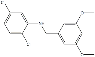 2,5-dichloro-N-[(3,5-dimethoxyphenyl)methyl]aniline 结构式