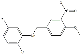 2,5-dichloro-N-[(4-methoxy-3-nitrophenyl)methyl]aniline 化学構造式